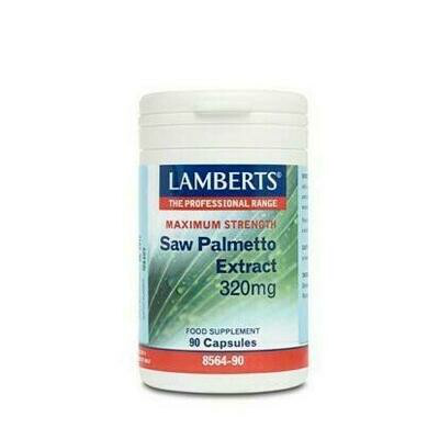 LAMBERTS SAW PALMETTO
