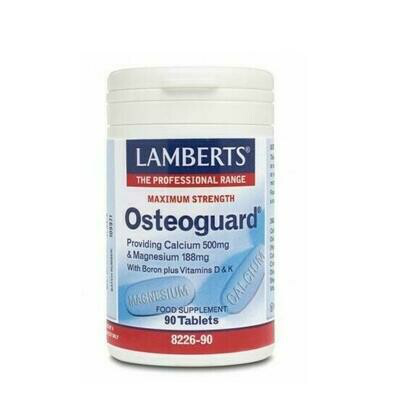LAMBERTS OSTEOGUARD (CALCIO 500MG/MAGNESIO 250MG)  90