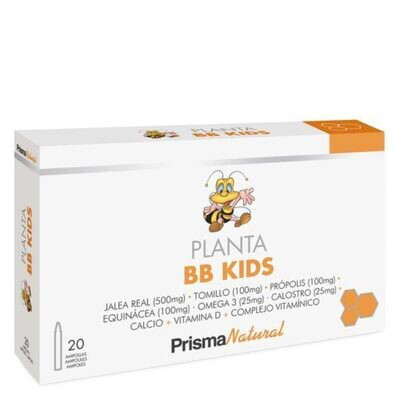 PLANTA BB KIDS PRISMA NATURAL