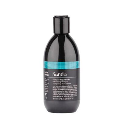 SENDO REBALANCING CHAMPU 250 ML