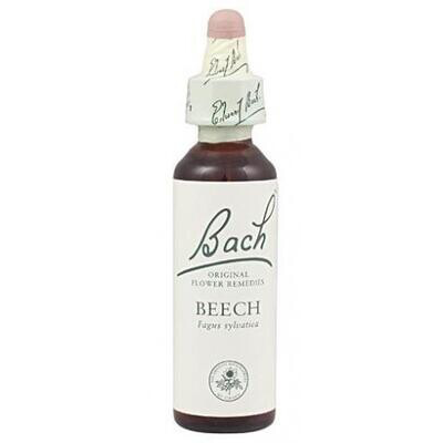 F.B. HAYA BEECH 3  EXTRACTO 20 ML