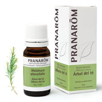 PRANAROM ACEITE ESENCIAL ARBOL DEL TE BIO 1 ENVASE 10 ML