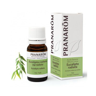 PRANAROM ACEITE ESENCIAL EUCALIPTO RADIATA BIO 1 ENVASE 10 ML