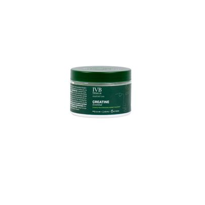IVB CREATINE ESSENTIAL 300 G