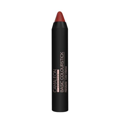 CAMALEON BASIC COLOURSTICK   NUDE TERRA