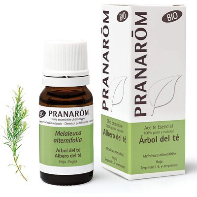 PRANAROM ACEITE ESENCIAL ARBOL DEL TE 10ML