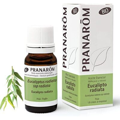 PRANAROM ACEITE ESENCIAL EUCALIPTO RADIATA 10ML